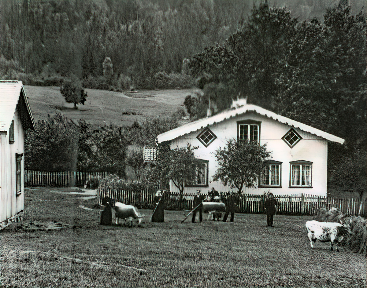 Frå Kåsi ca 1918 - med folk og telemarkskyr.